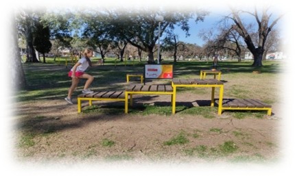 Planificación y ejecución de Educación Física a Domicilio y en Espacios Verdes