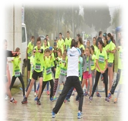 Servicio de Asesoramiento Integral Profesional a Instituciones